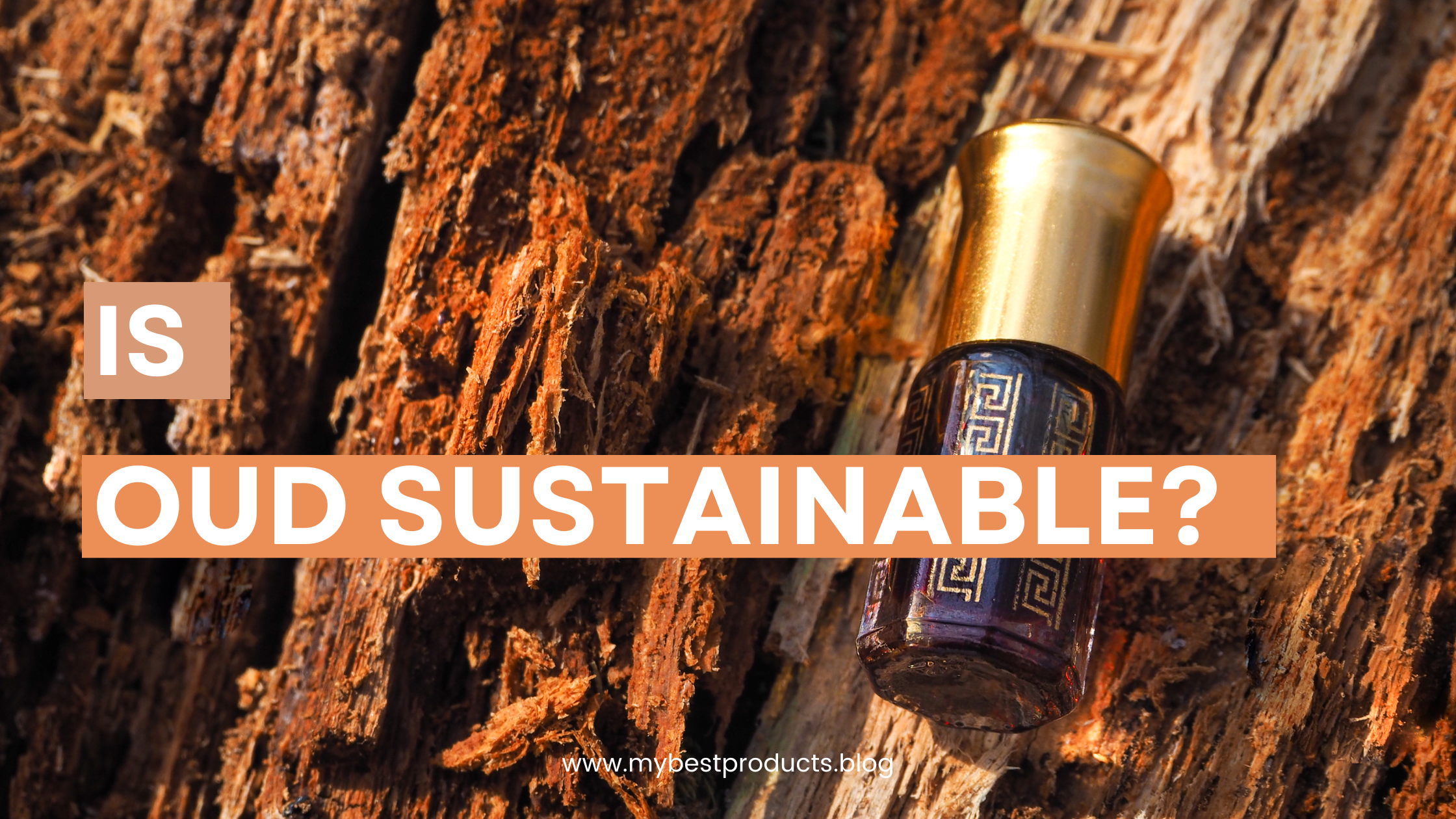 Is Oud Sustainable?